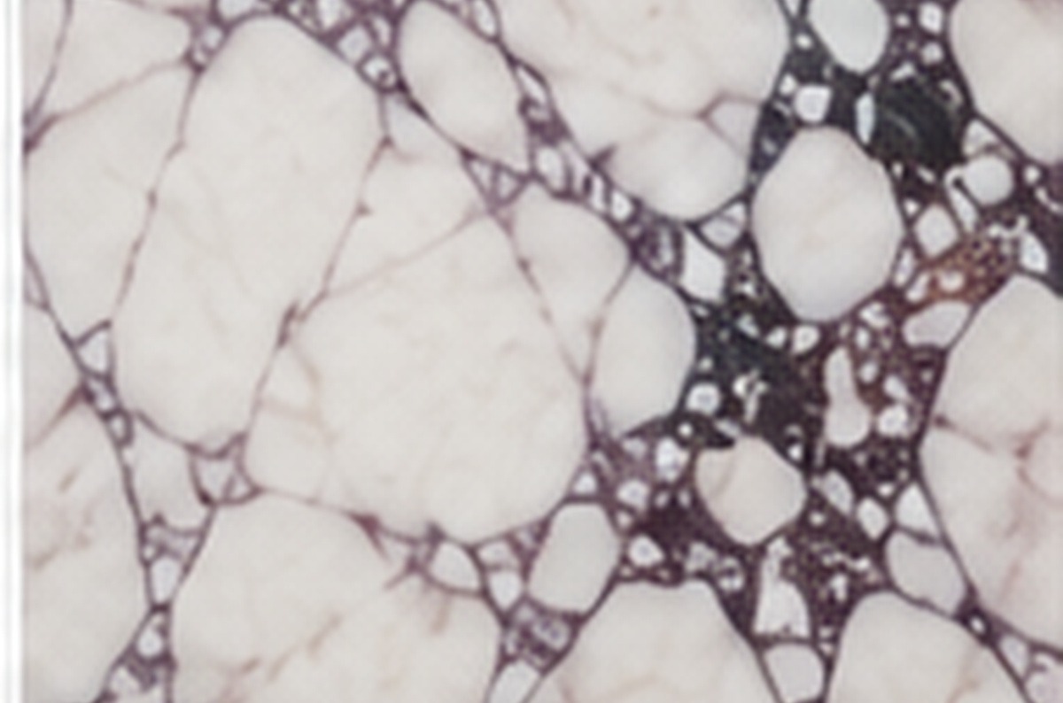 Calacatta Viola slab face
