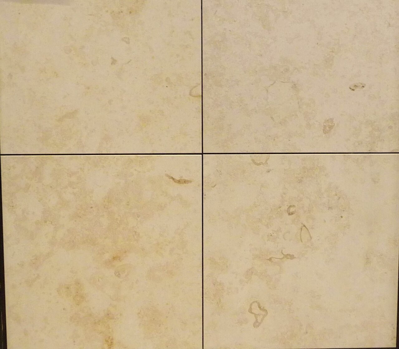 Jura Beige Limestone 18&times;18