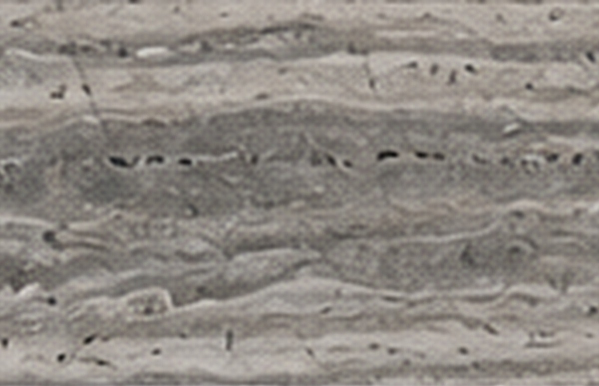 Slab face photo 3