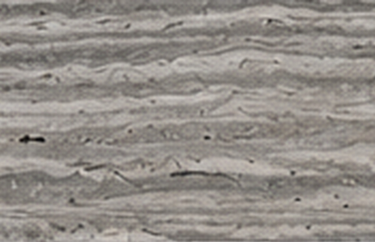 Silver Travertine SLB-330-04, slab face